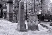 'Edinburgh Graveyard'.  Photo taken in Scotland.  ©Danny Nowak